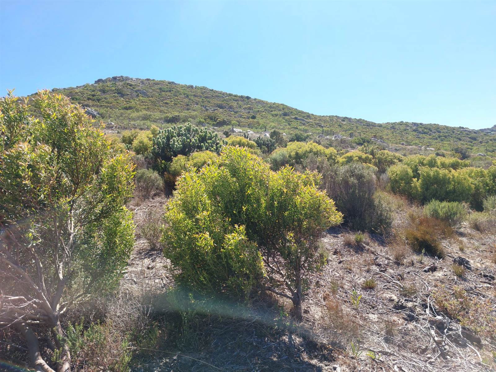 724 m² Land available in Noordhoek photo number 7