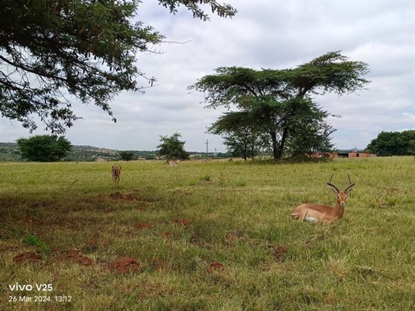 4.2 ha Smallholding