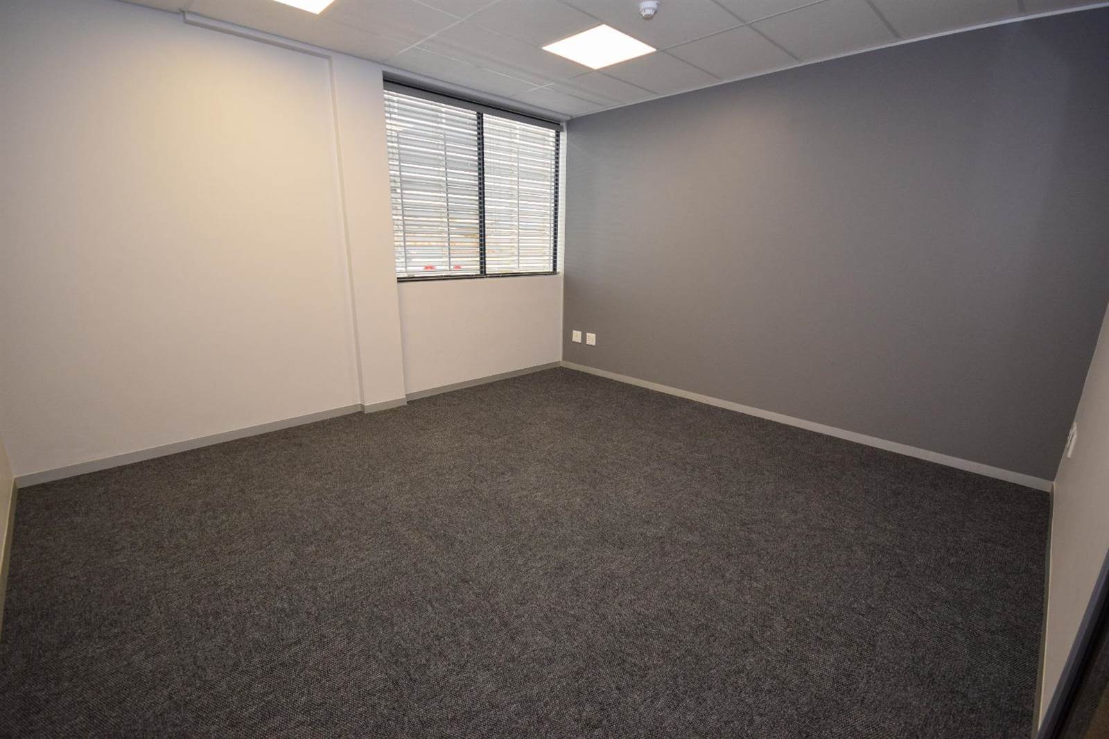 112  m² Office Space in Eden photo number 11