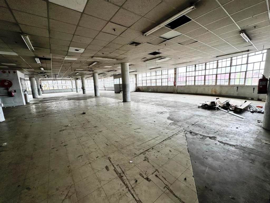 354  m² Industrial space in Greyville photo number 2