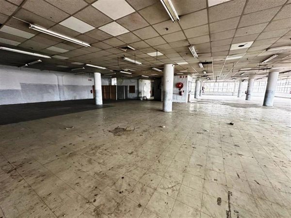 354  m² Industrial space in Greyville