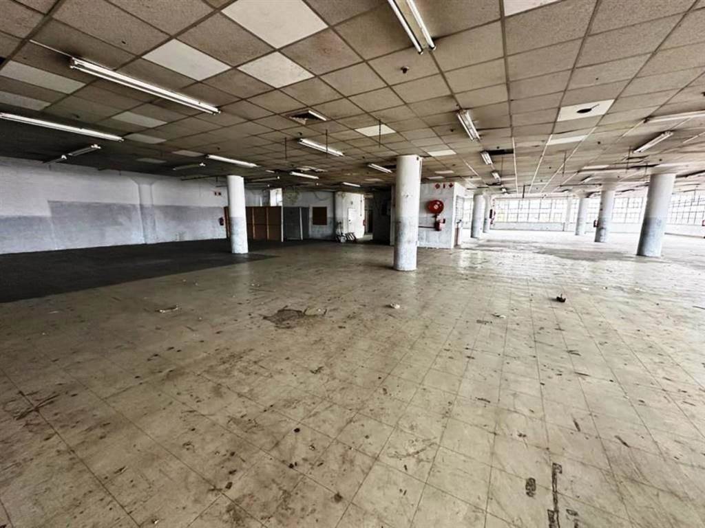 354  m² Industrial space in Greyville photo number 1