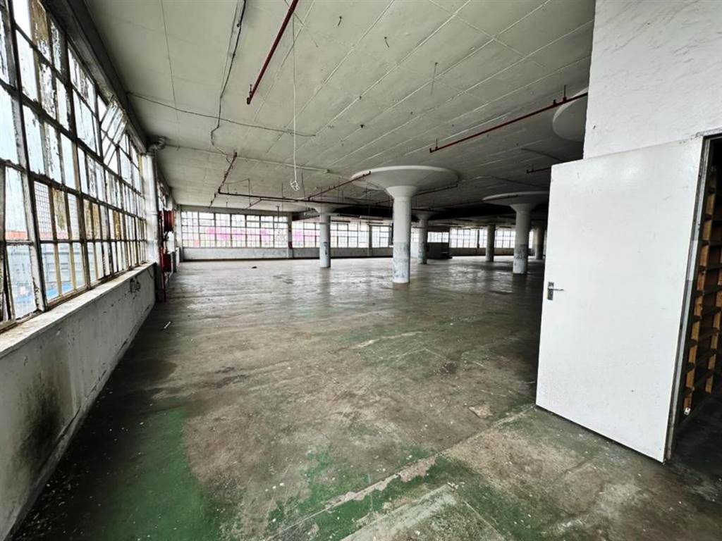 354  m² Industrial space in Greyville photo number 6