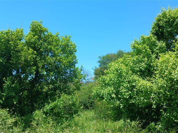 810 m² Land