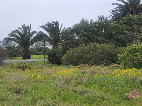 440 m² Land