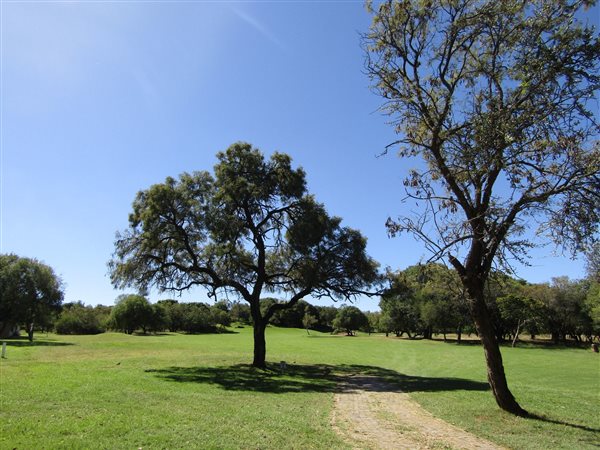 437 m² Land available in Seasons Lifestyle Estate