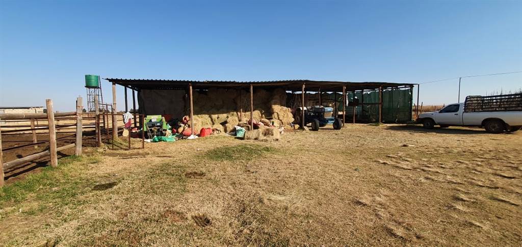 25 m² Farm in Delmas photo number 3