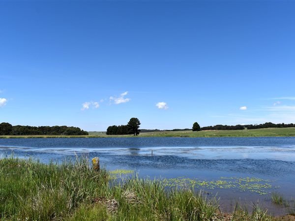 Farm Farm