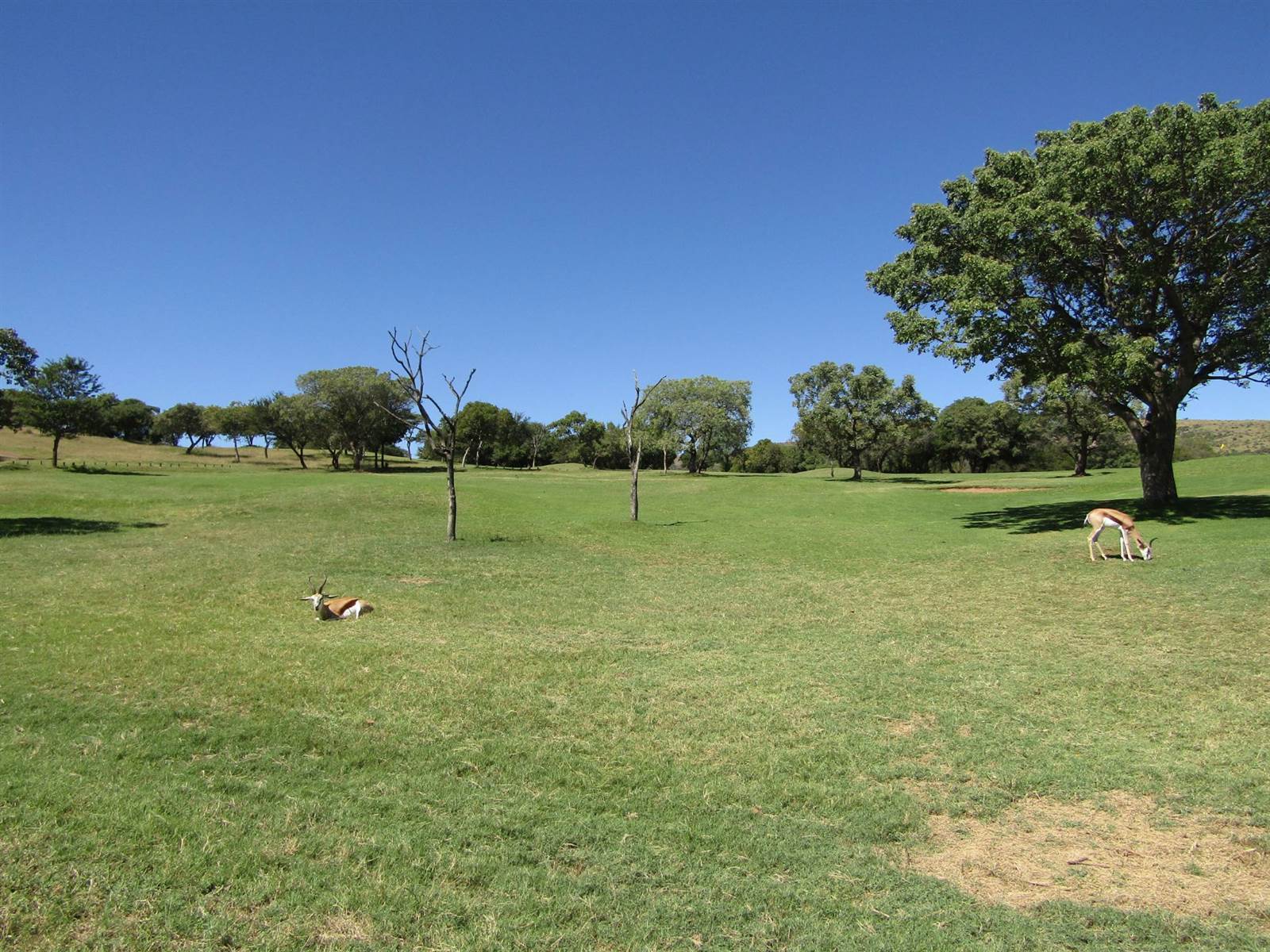 493 m² Land available in Seasons Lifestyle Estate photo number 3