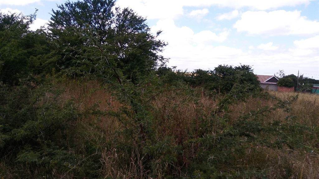1437 m² Land available in Oranjeville photo number 5