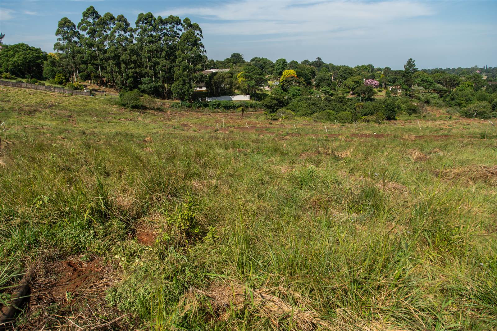 2180 m² Land available in Hillcrest Central photo number 5