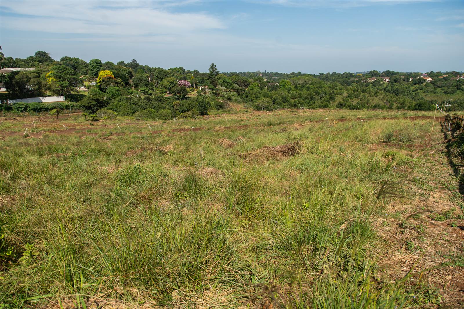 2180 m² Land available in Hillcrest Central photo number 4