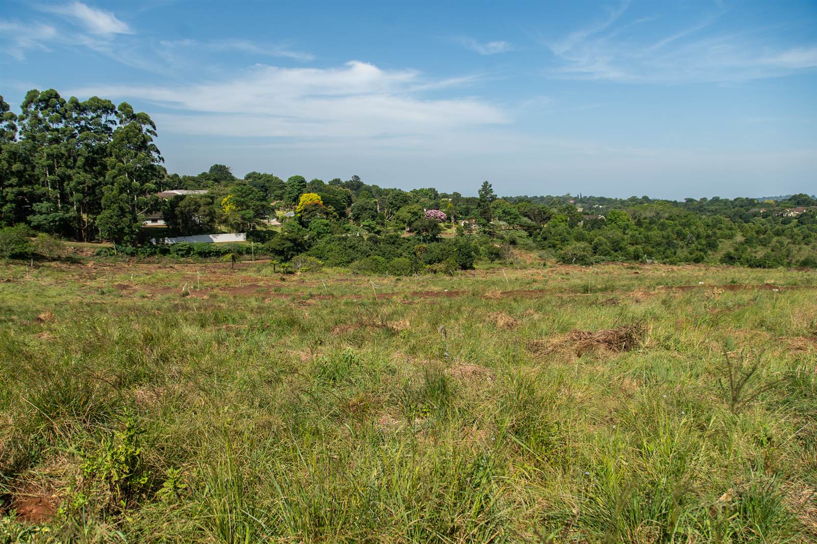 2180 m² Land available in Hillcrest Central photo number 3