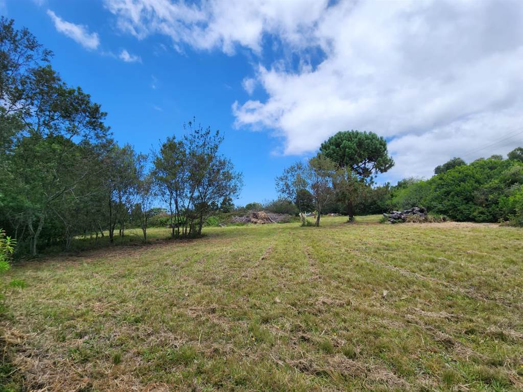 3.1 ha Smallholding in Wilderness Heights photo number 2