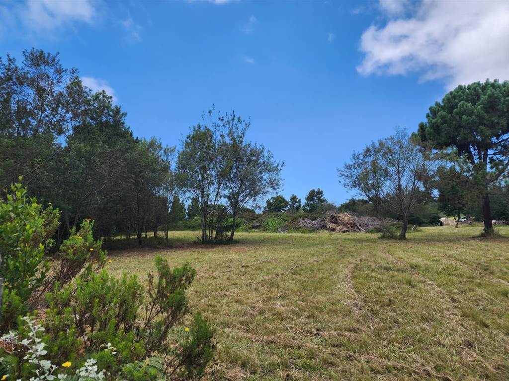 3.1 ha Smallholding in Wilderness Heights photo number 8