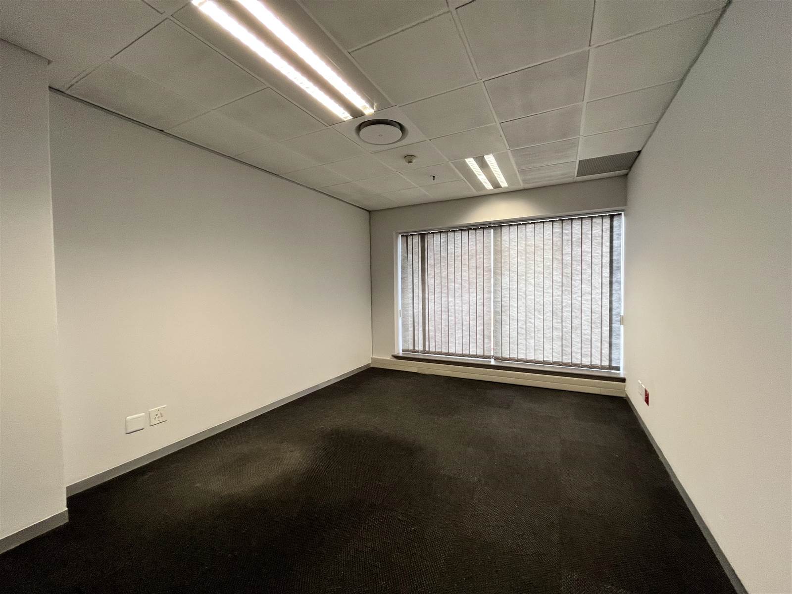 390  m² Commercial space in Rosebank photo number 15