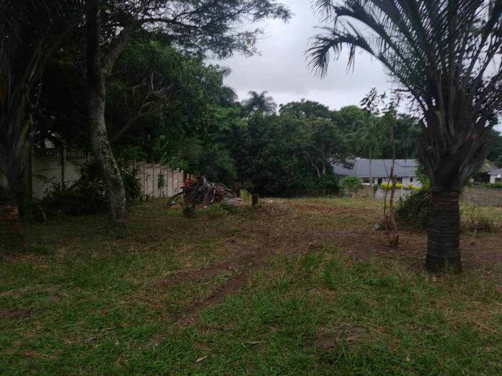 1056 m² Land available in Pennington photo number 8