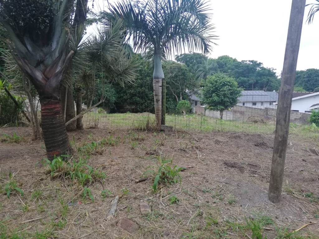 1056 m² Land available in Pennington photo number 12