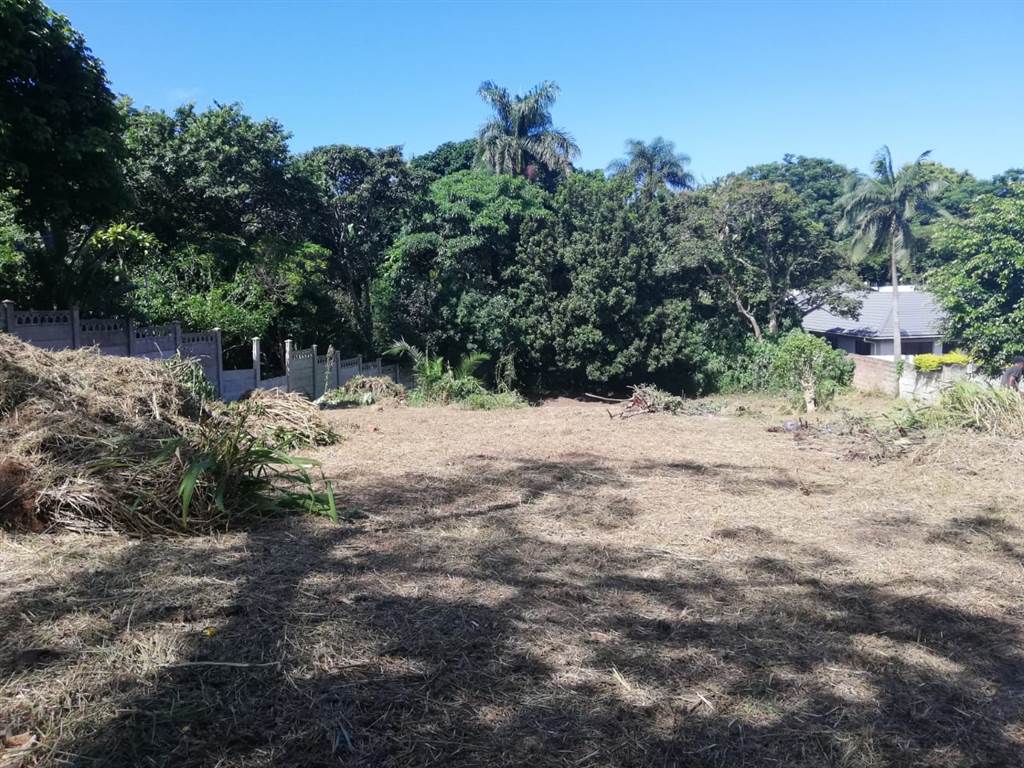 1056 m² Land available in Pennington photo number 2