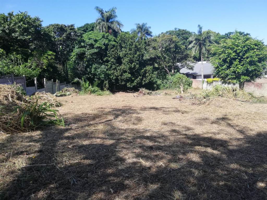 1056 m² Land available in Pennington photo number 5
