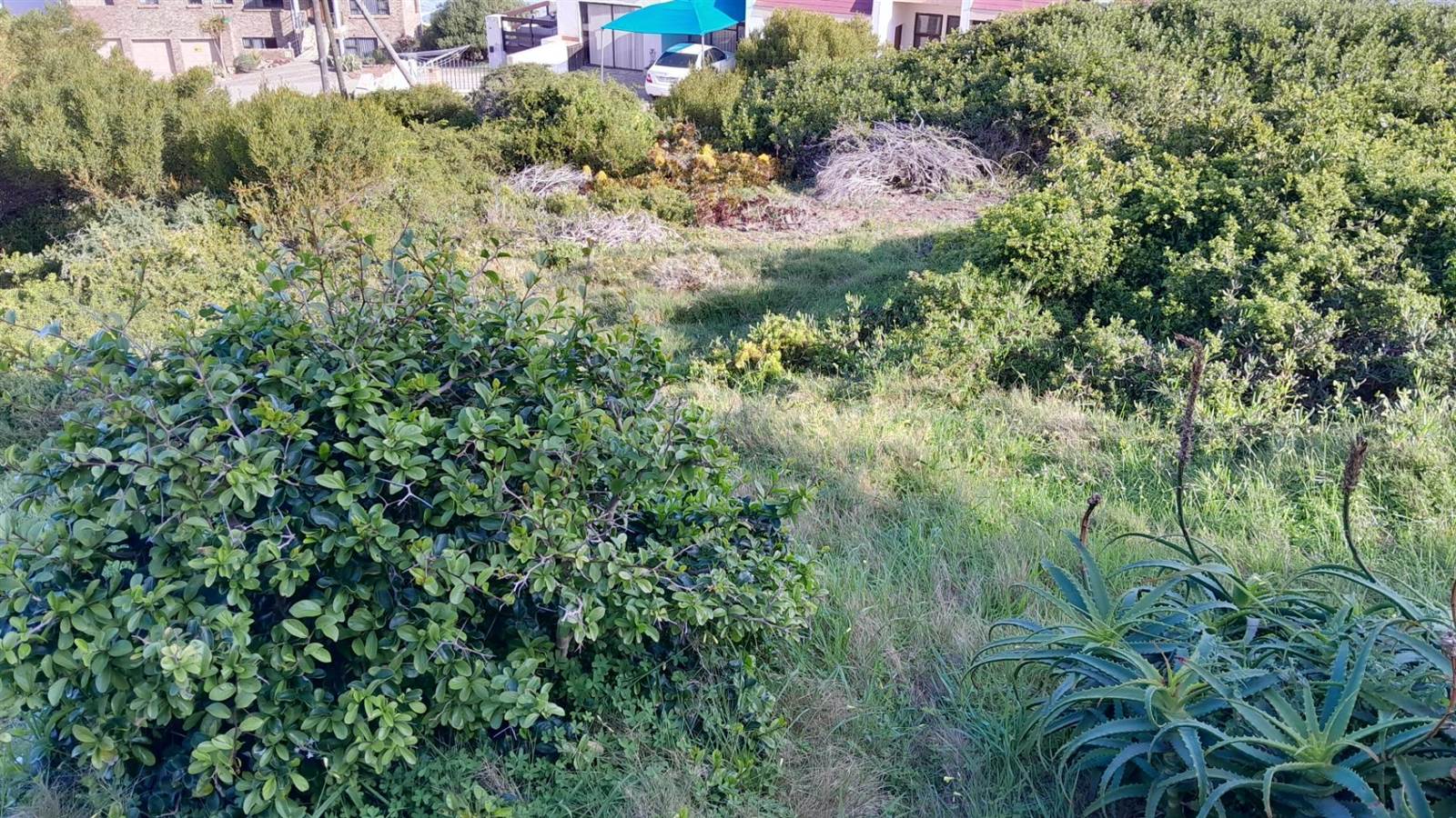 869 m² Land available in Dana Bay photo number 12