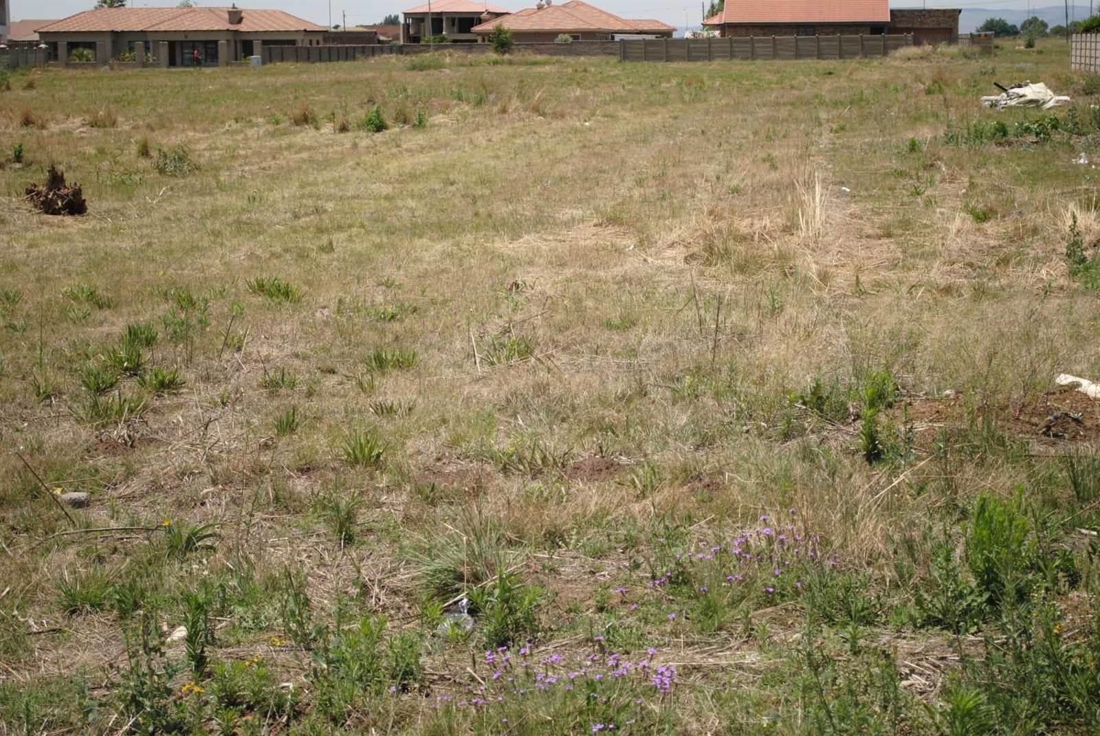 4127 m² Land available in Riversdale photo number 2