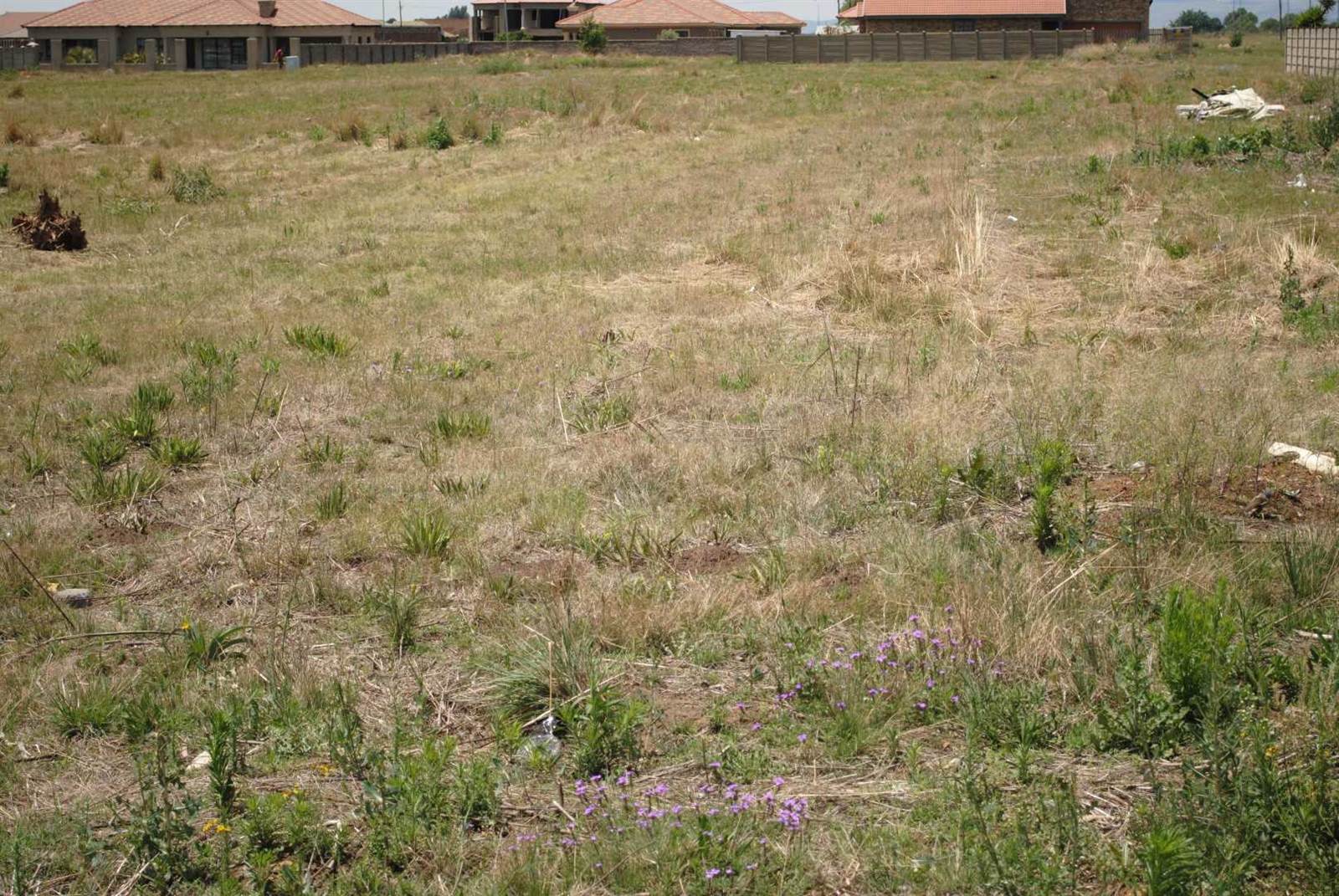 4127 m² Land available in Riversdale photo number 3