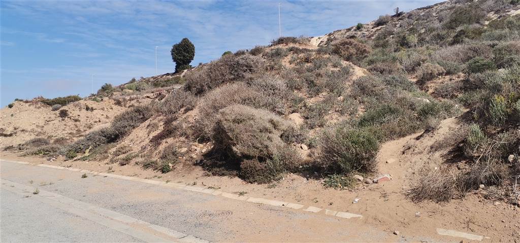311 m² Land available in Saldanha photo number 2