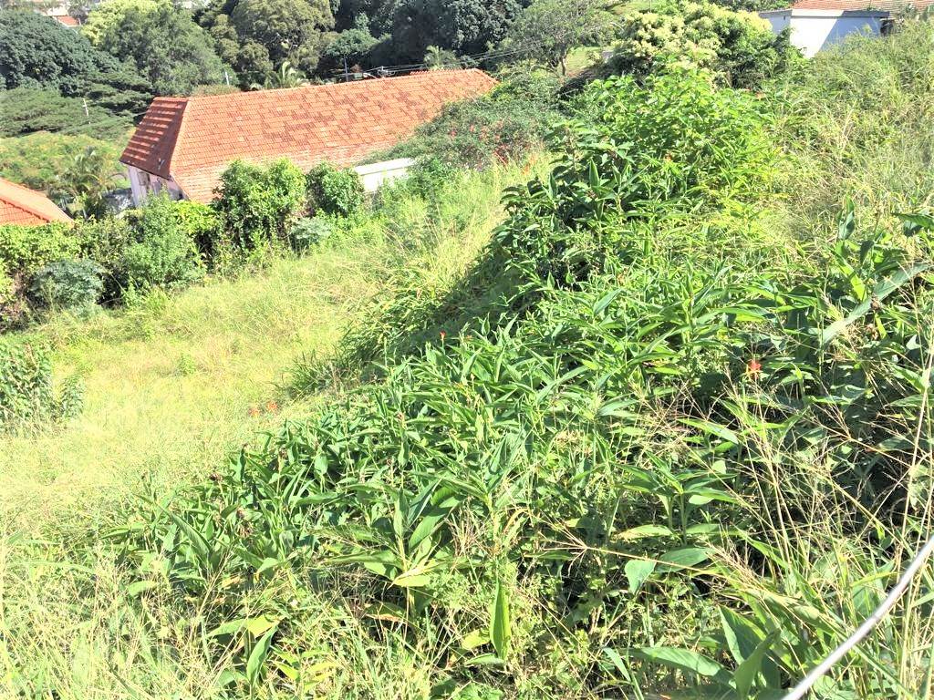 691 m² Land available in Glenwood photo number 11