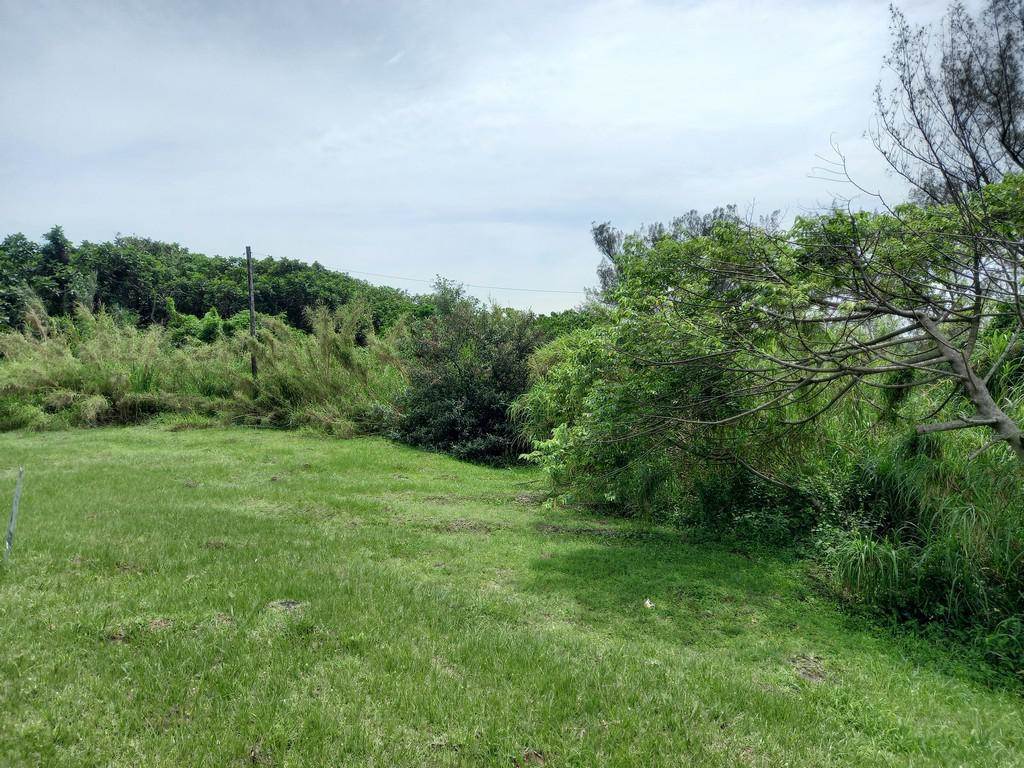 2270 m² Land available in Blythedale Beach photo number 8