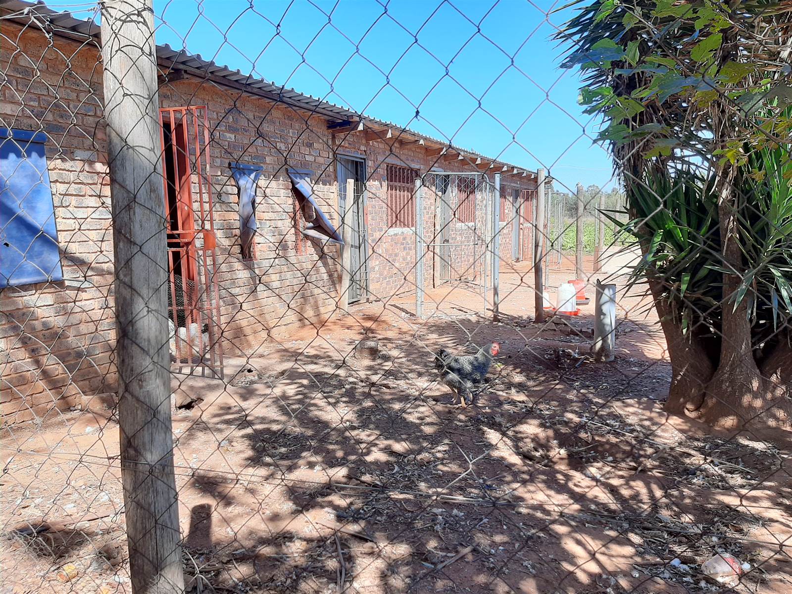 4.4 ha Smallholding in Delmas photo number 28