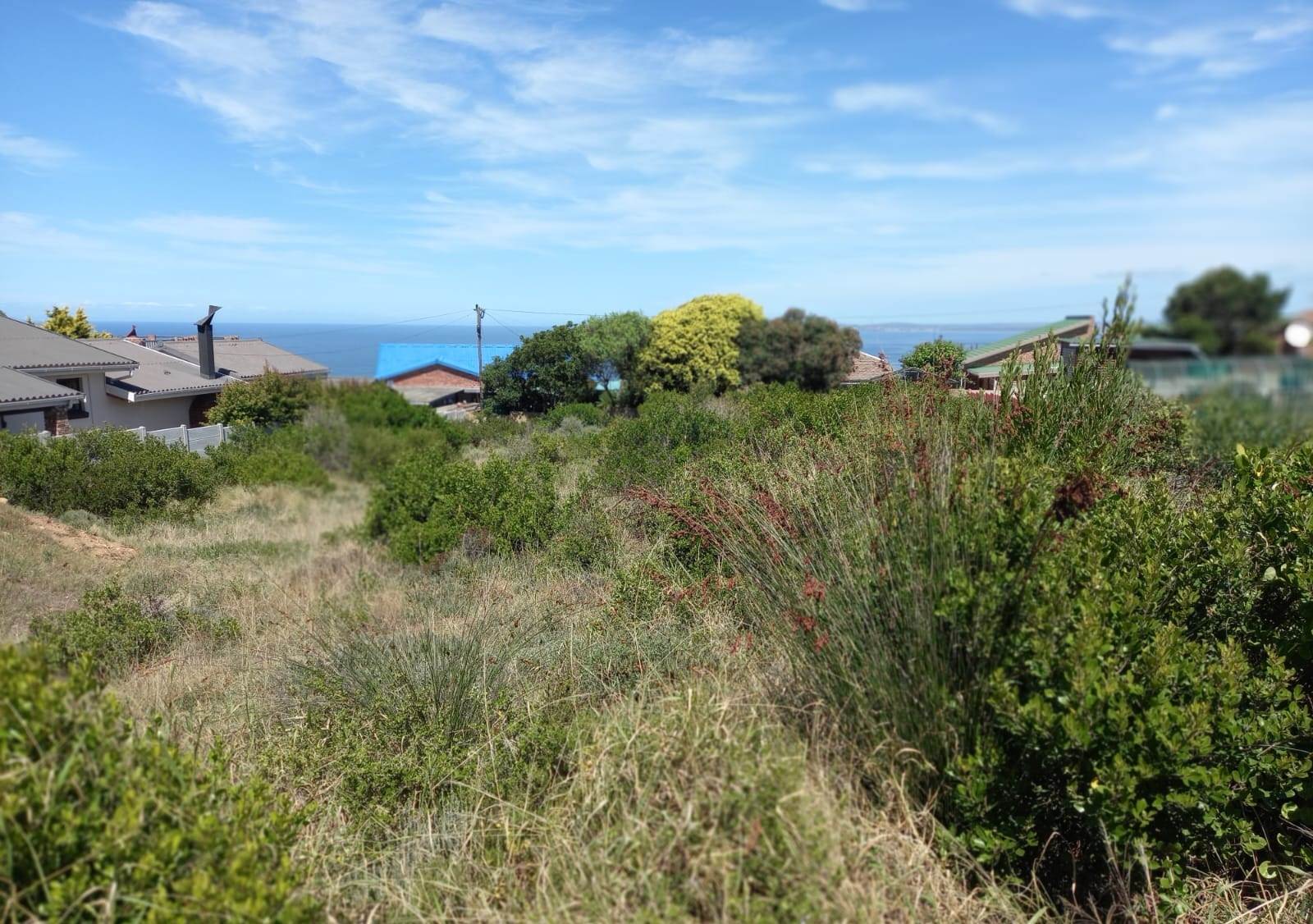 880 m² Land available in Dana Bay photo number 16