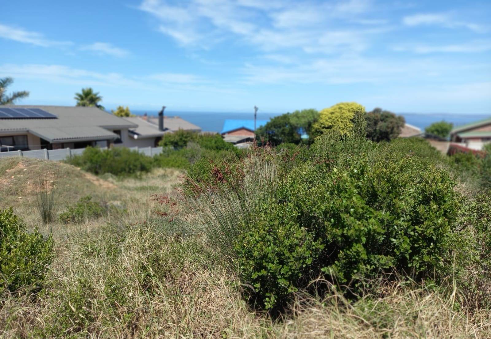 880 m² Land available in Dana Bay photo number 11