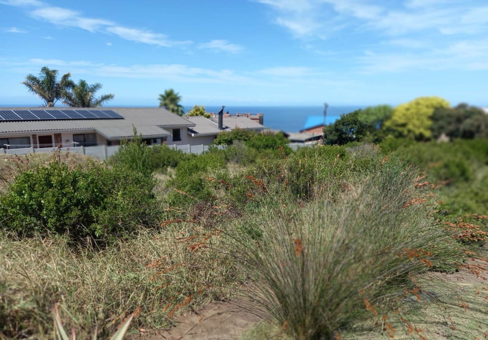 880 m² Land available in Dana Bay photo number 14