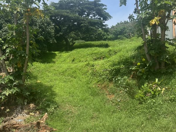 1086 m² Land available in La Mercy