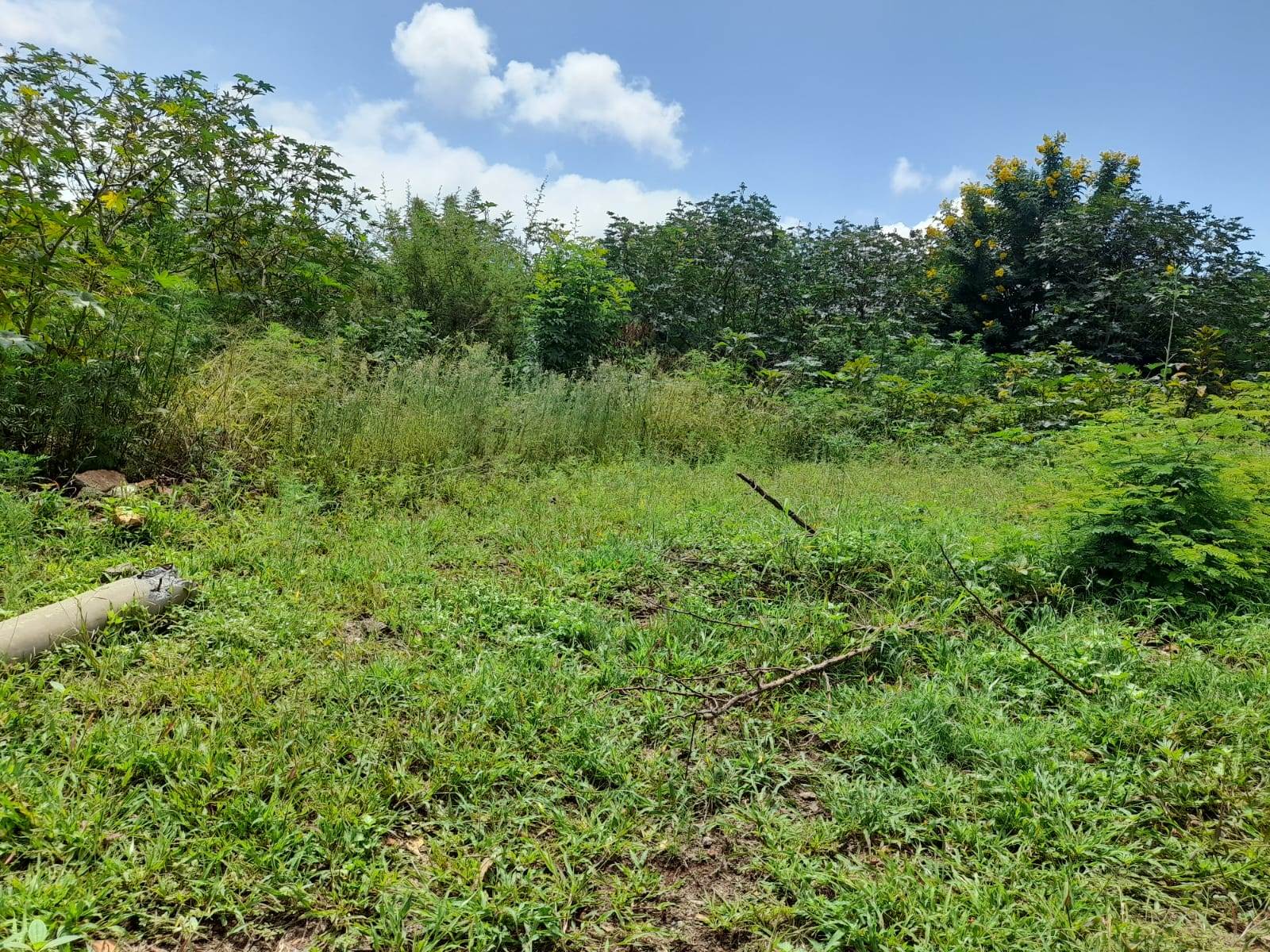 1.3 ha Land available in Cashan photo number 1