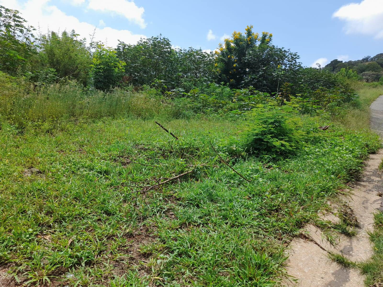 1.3 ha Land available in Cashan photo number 13