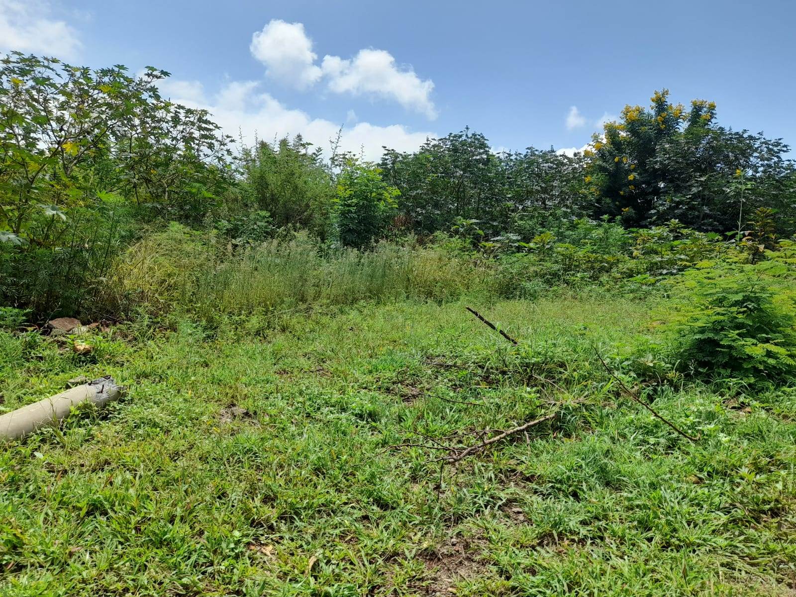 1.3 ha Land available in Cashan photo number 14