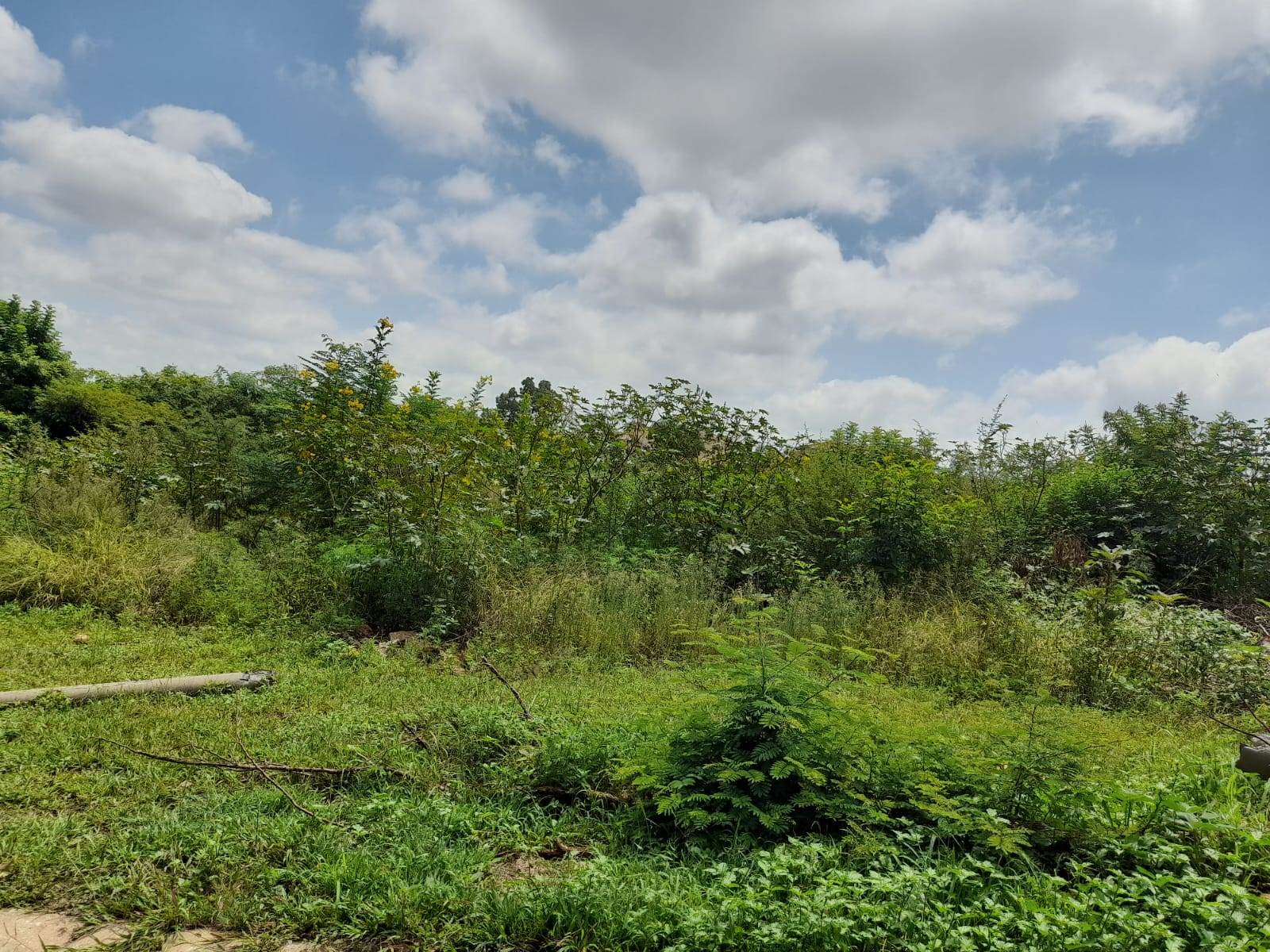 1.3 ha Land available in Cashan photo number 11