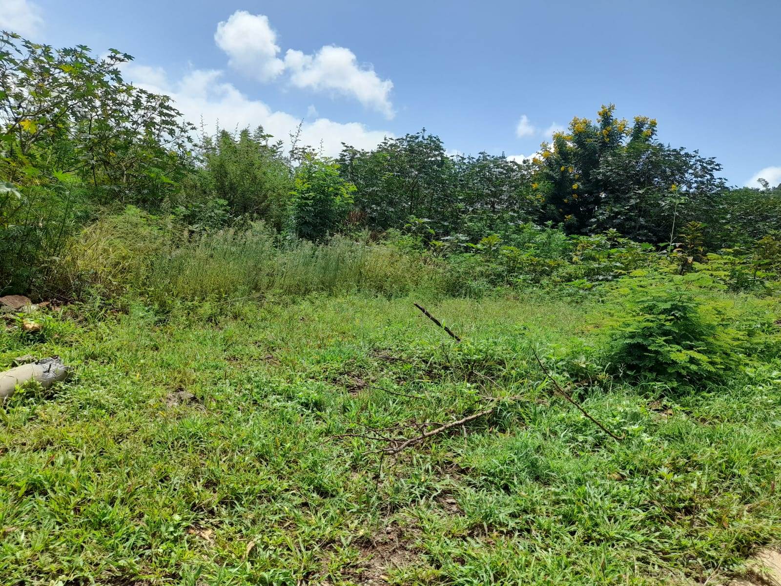 1.3 ha Land available in Cashan photo number 15
