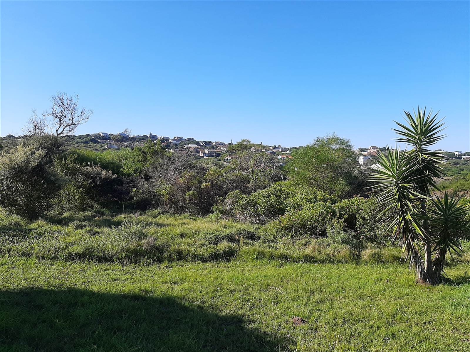 738 m² Land available in Port Alfred photo number 5