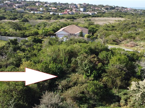 738 m² Land available in Port Alfred