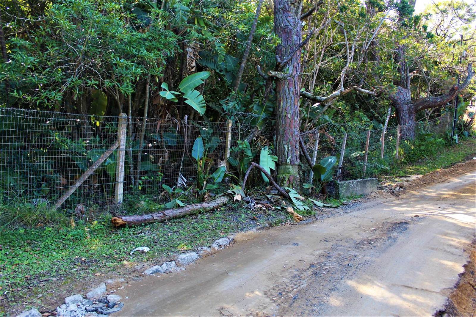 5660 m² Land available in Southbroom photo number 5