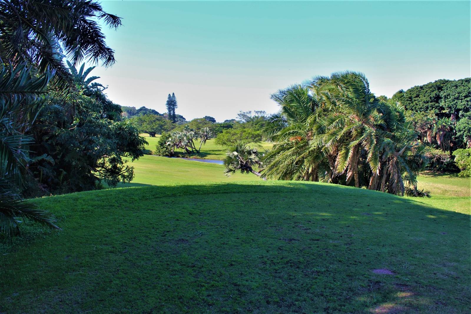 5660 m² Land available in Southbroom photo number 9