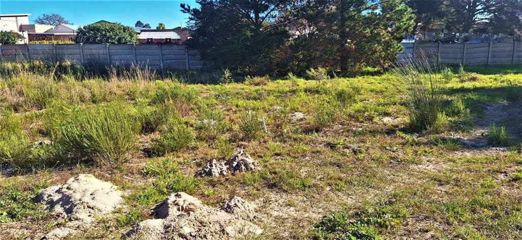 285 m² Land available in Albertinia photo number 6