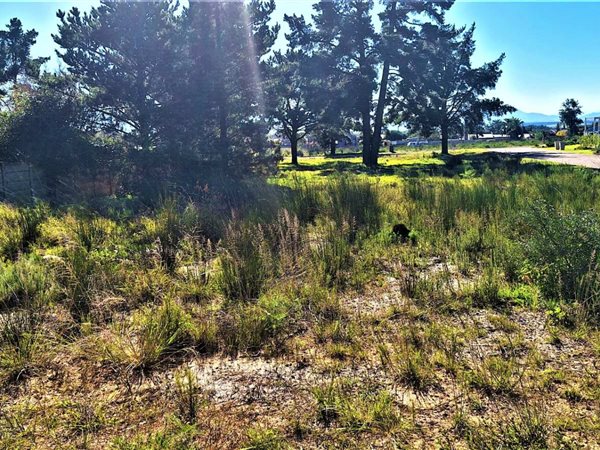 285 m² Land available in Albertinia