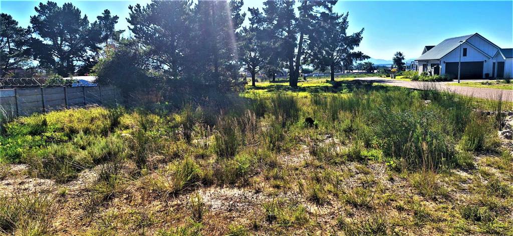 285 m² Land available in Albertinia photo number 1