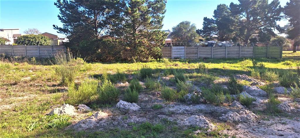 285 m² Land available in Albertinia photo number 10