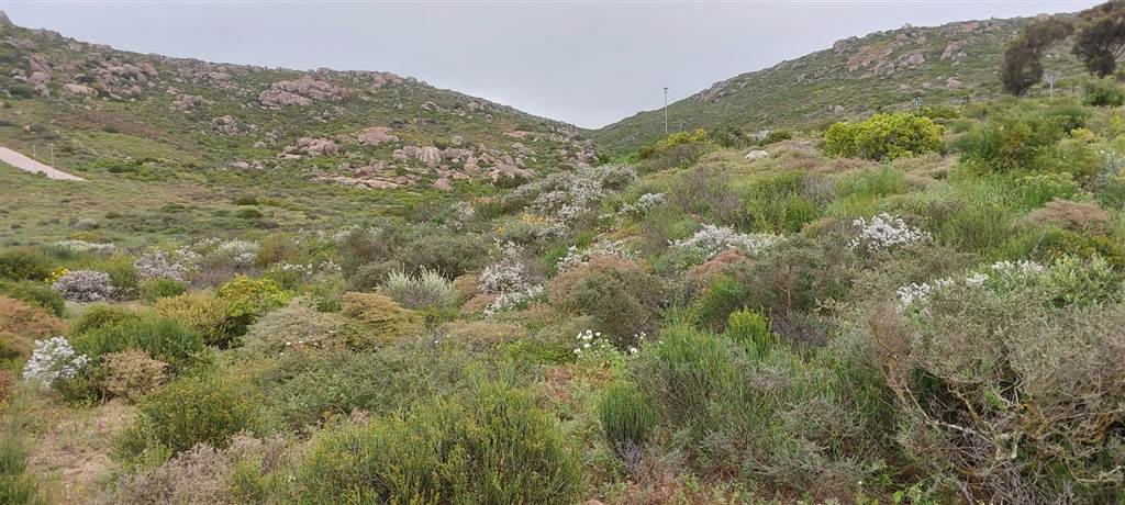 569 m² Land available in St Helena Views photo number 8