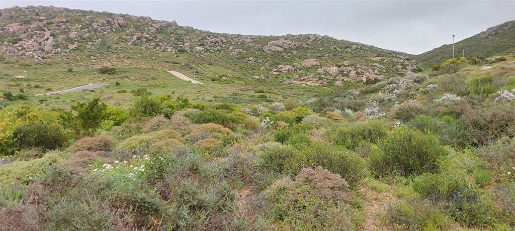 569 m² Land available in St Helena Views photo number 2